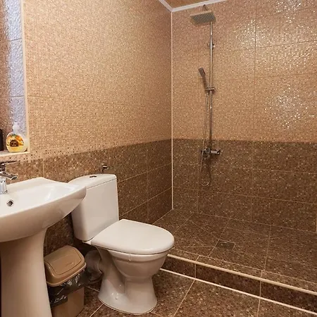 Apartment Vip-котедж-nazarko Yaremche