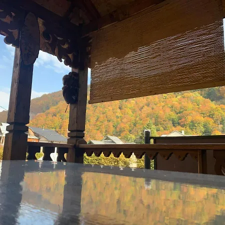 Apartment Vip-котедж-nazarko *