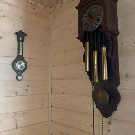 Vip-котедж-nazarko Apartment *