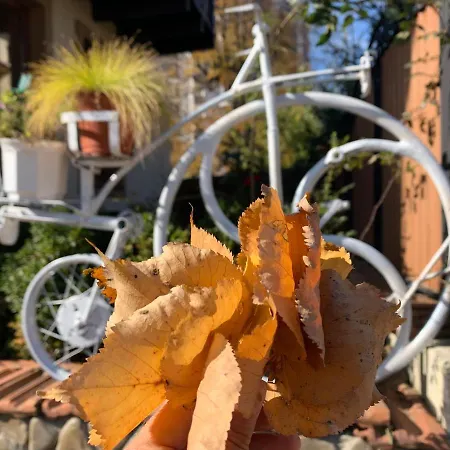 Vip-котедж-nazarko Apartment Yaremche